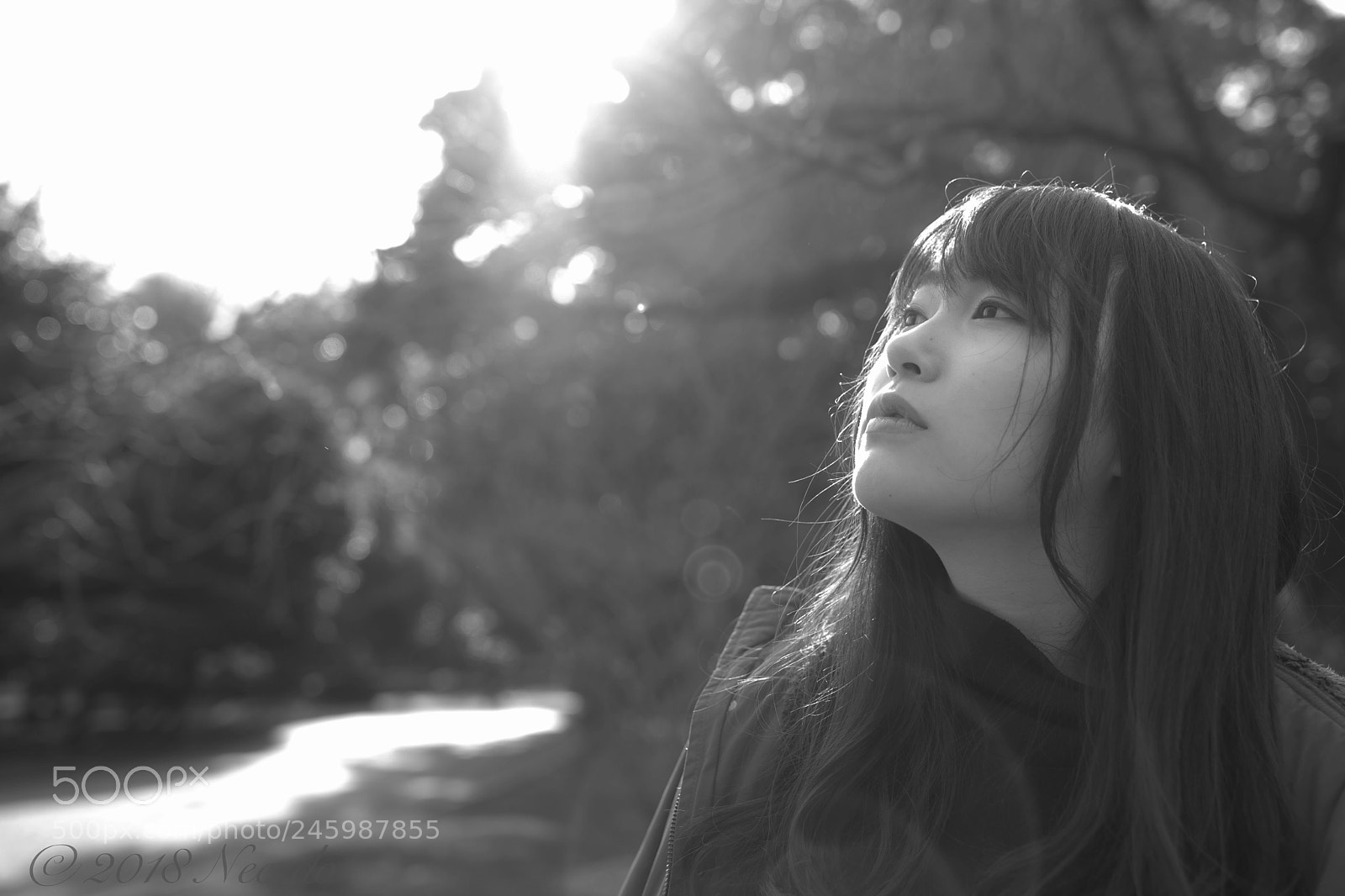 Canon EOS-1D Mark III sample photo. Umi photography