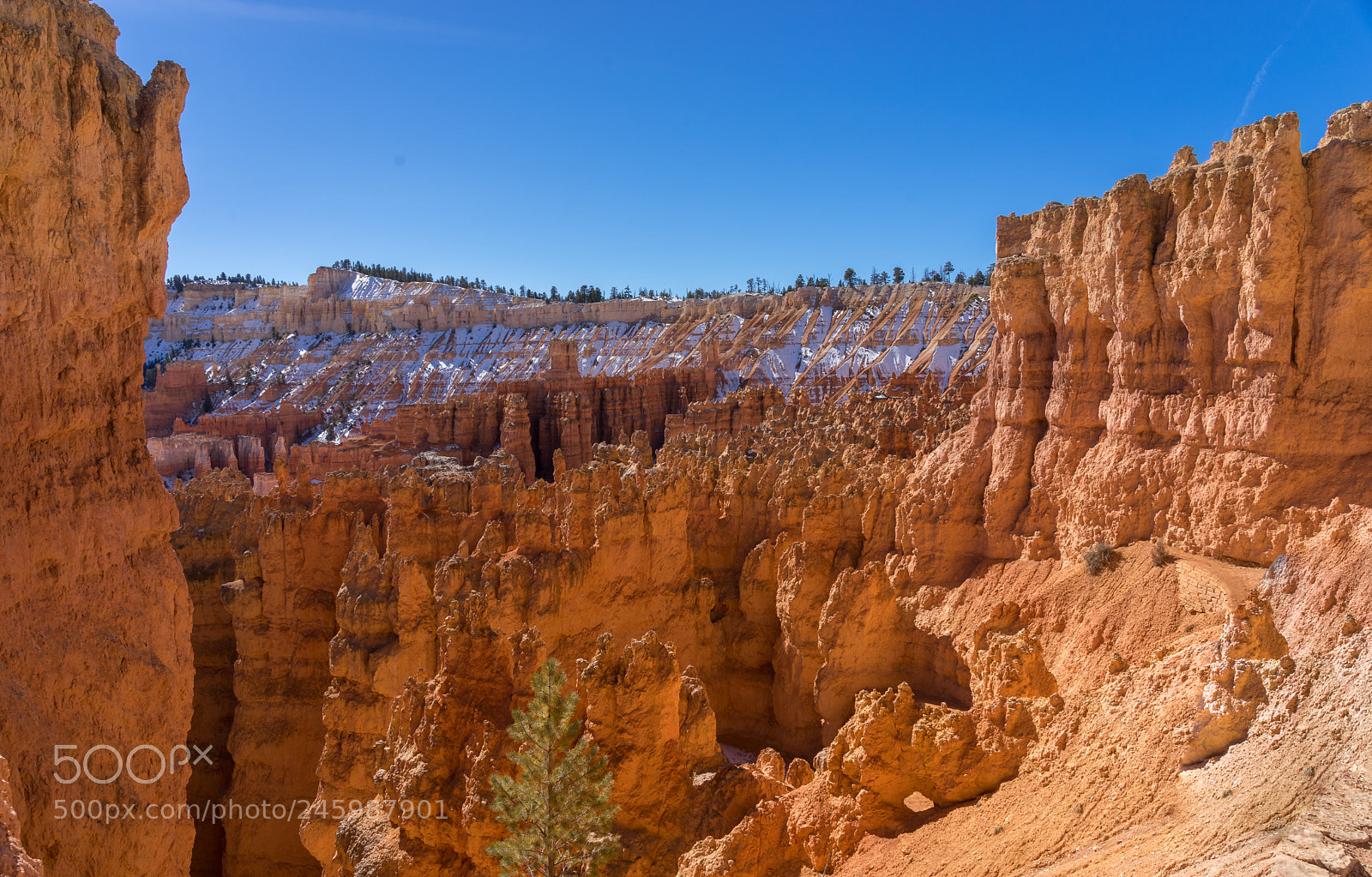 Sony a7 sample photo. Navajo loop trail view photography