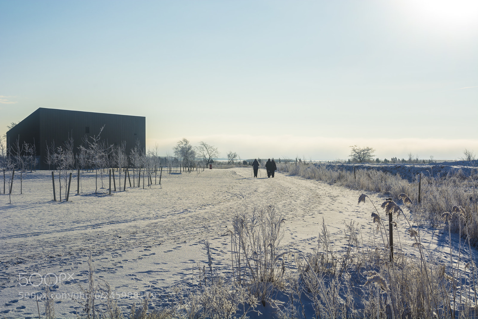 Nikon D5200 sample photo. Morning walk photography