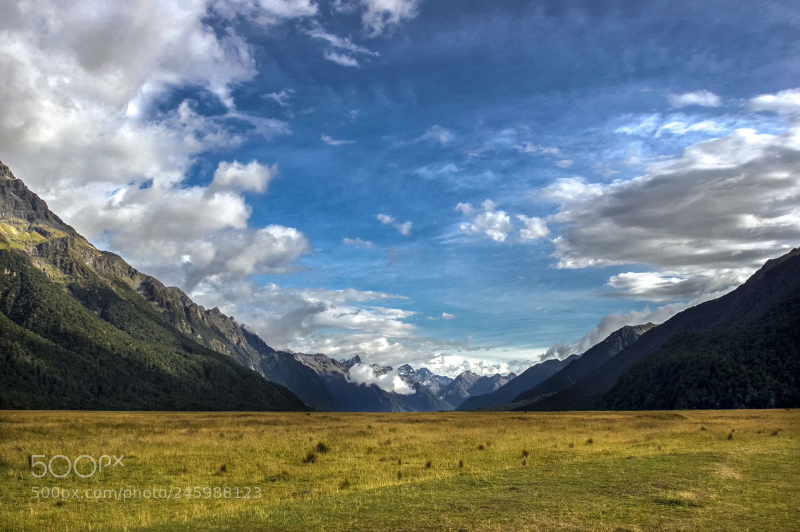 Pentax K-3 II sample photo. Fiordland photography