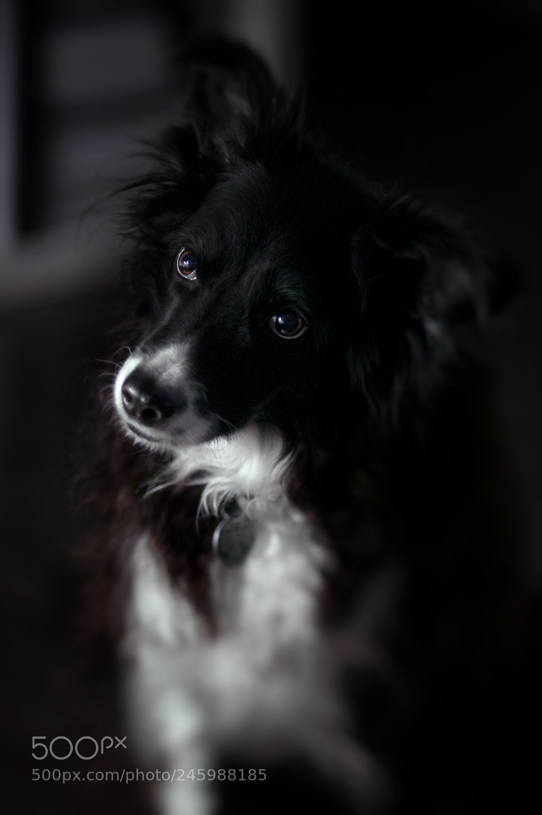 Nikon D90 sample photo. Whaaaat? photography
