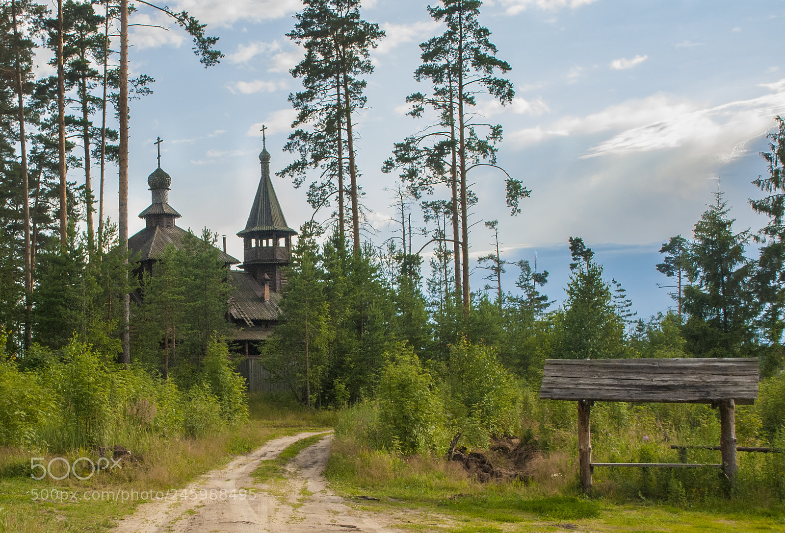 Nikon D80 sample photo. Temple in the forest photography