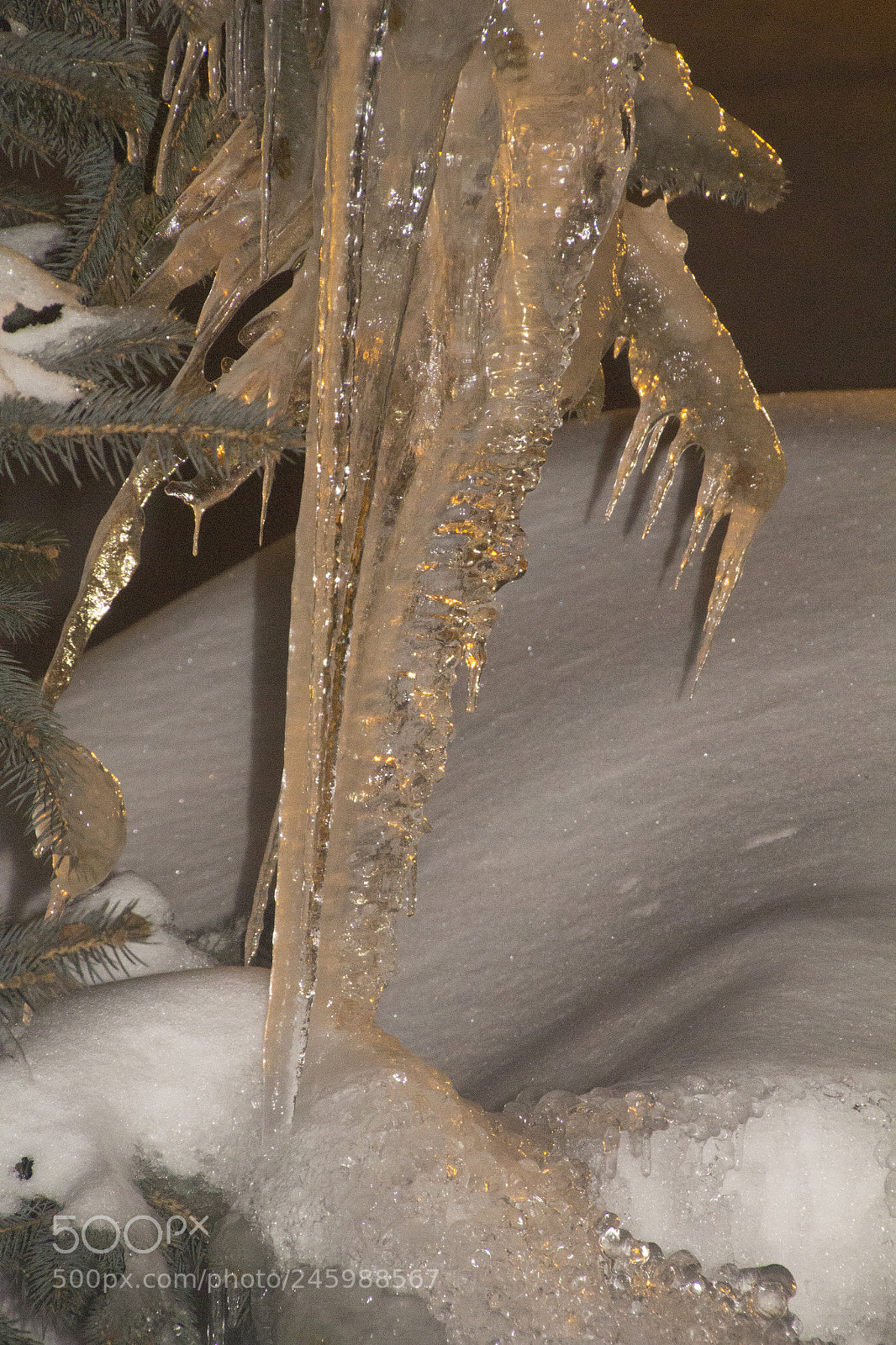 Canon EOS 1200D (EOS Rebel T5 / EOS Kiss X70 / EOS Hi) sample photo. Evergreen snow and icicles. photography