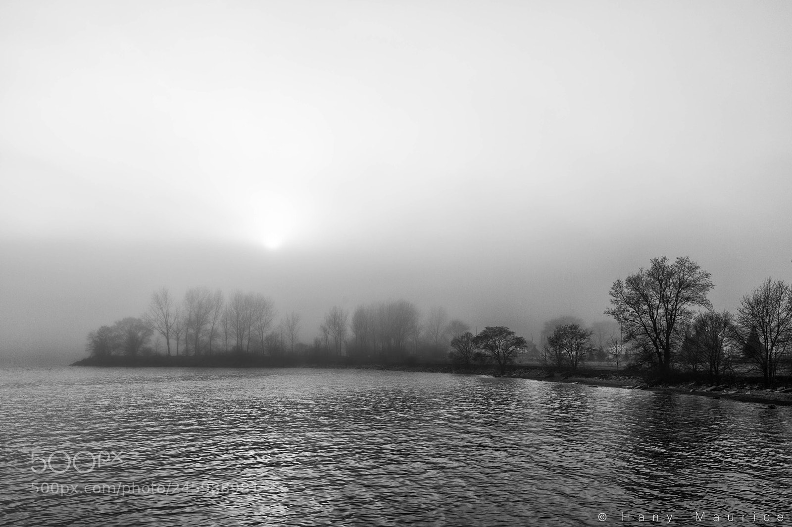 Nikon D4 sample photo. Mist + fog photography