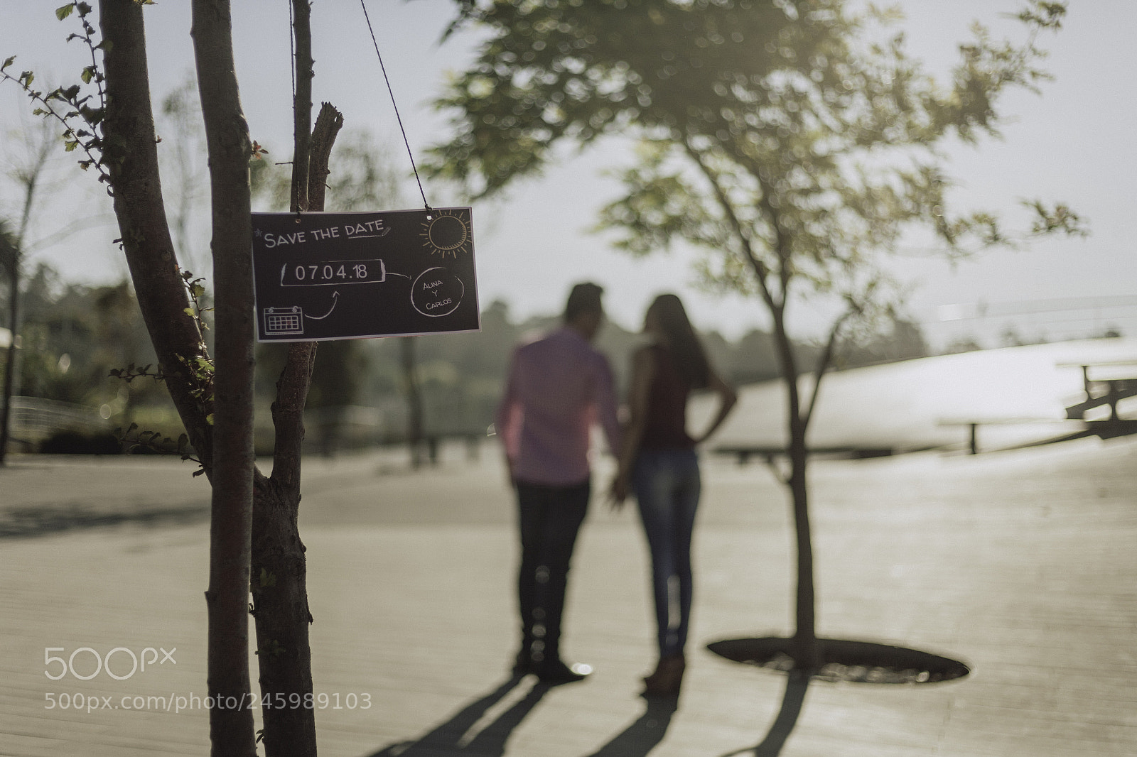 Canon EOS-1Ds Mark II sample photo. Cq photography