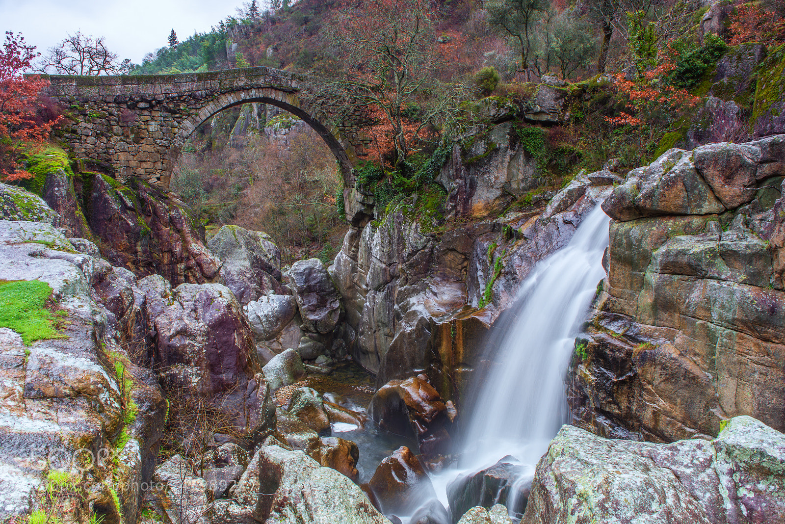 Nikon D600 sample photo. Devil's bridge photography