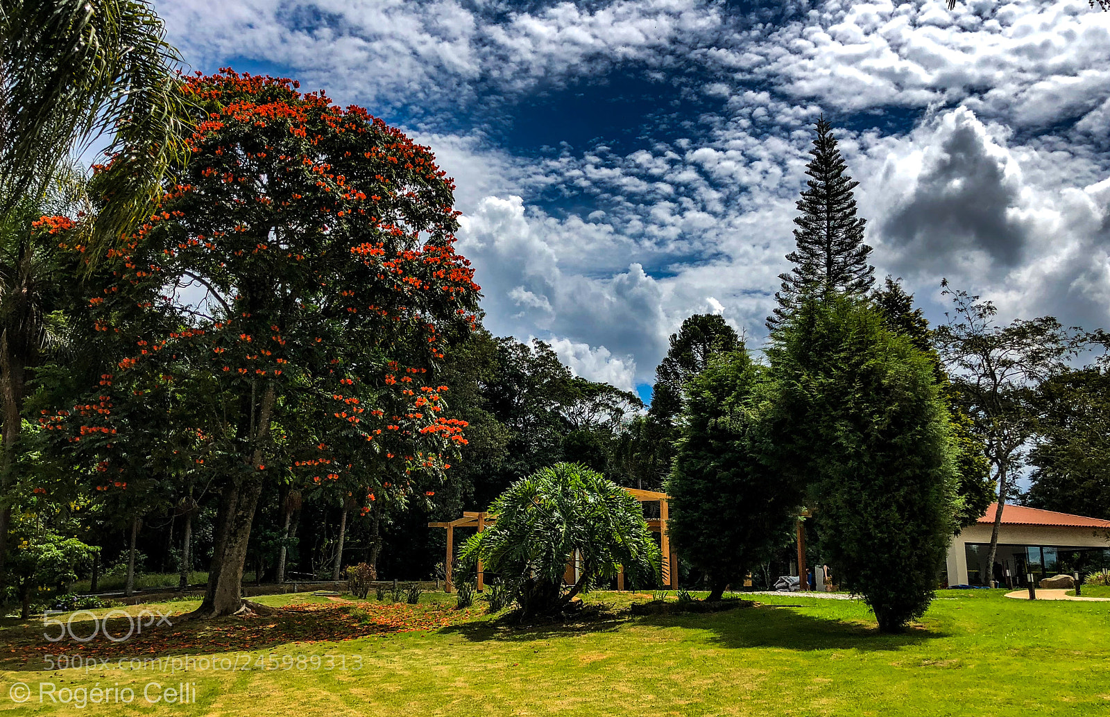 Apple iPhone X sample photo. Summer vibes photography