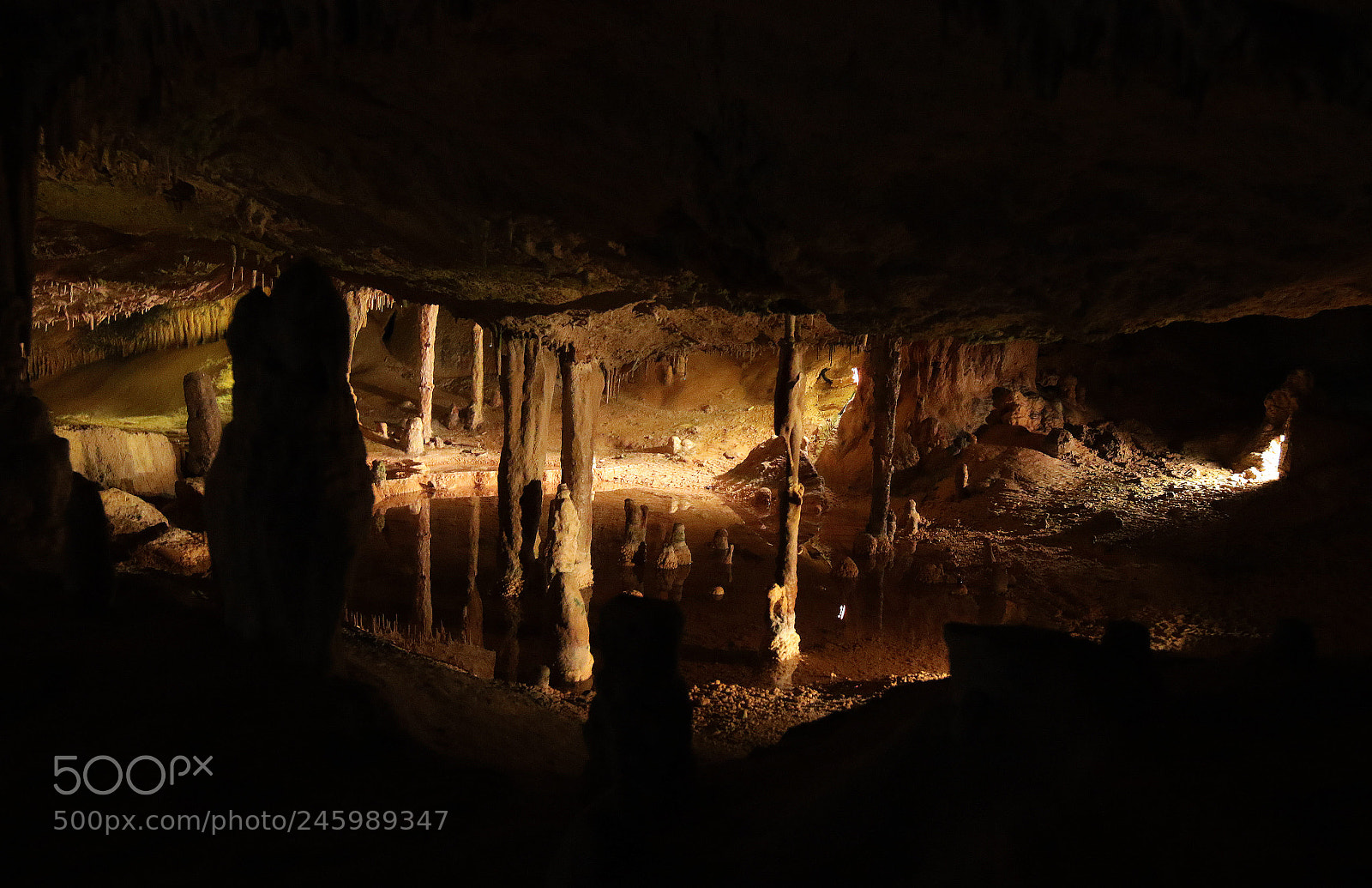 Canon EOS 7D Mark II sample photo. Untitled photography