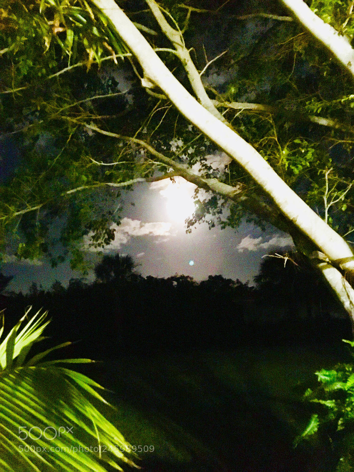 Apple iPhone SE sample photo. Moon photography