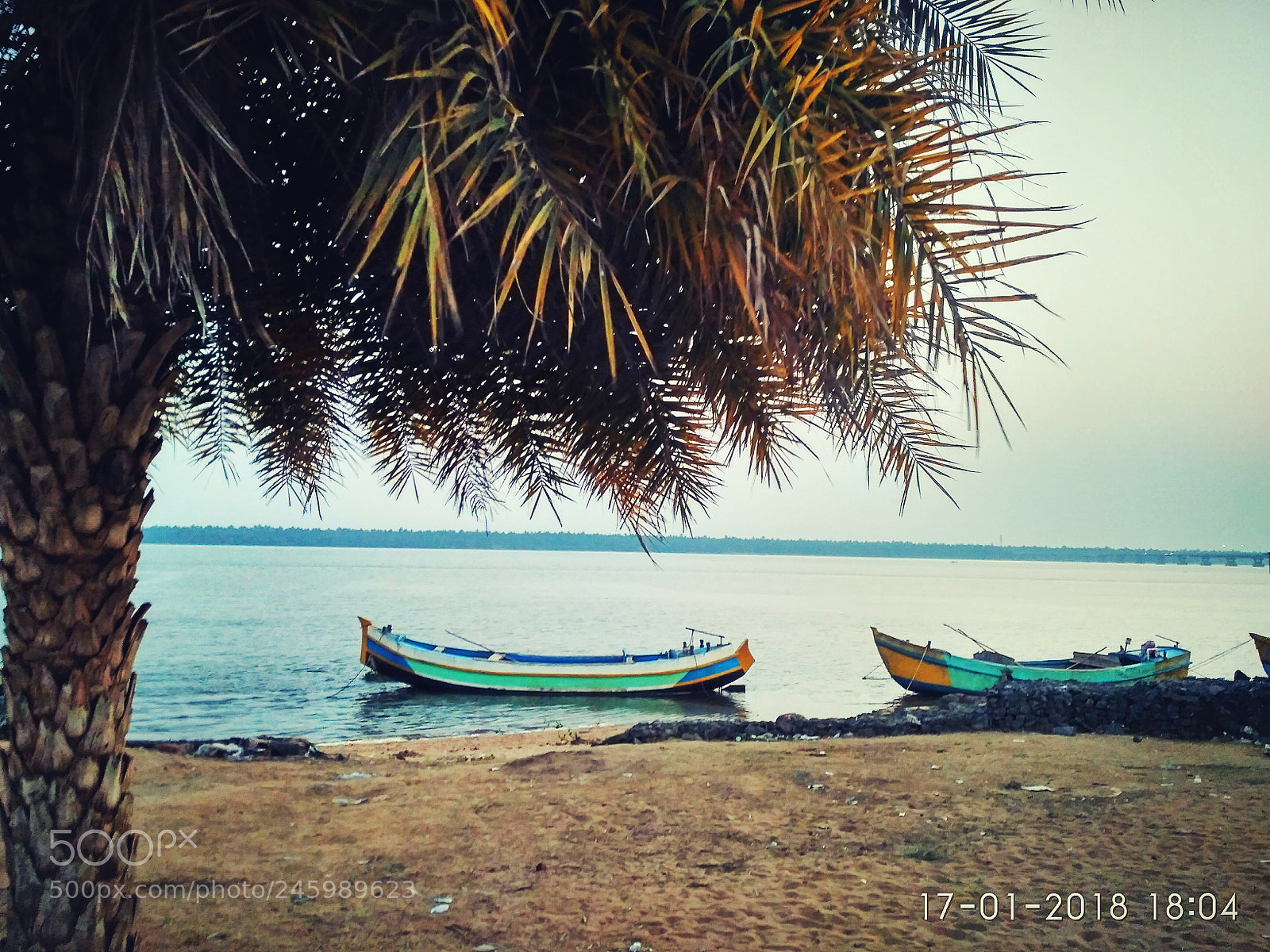 Xiaomi Redmi 3S sample photo. Untitled photography