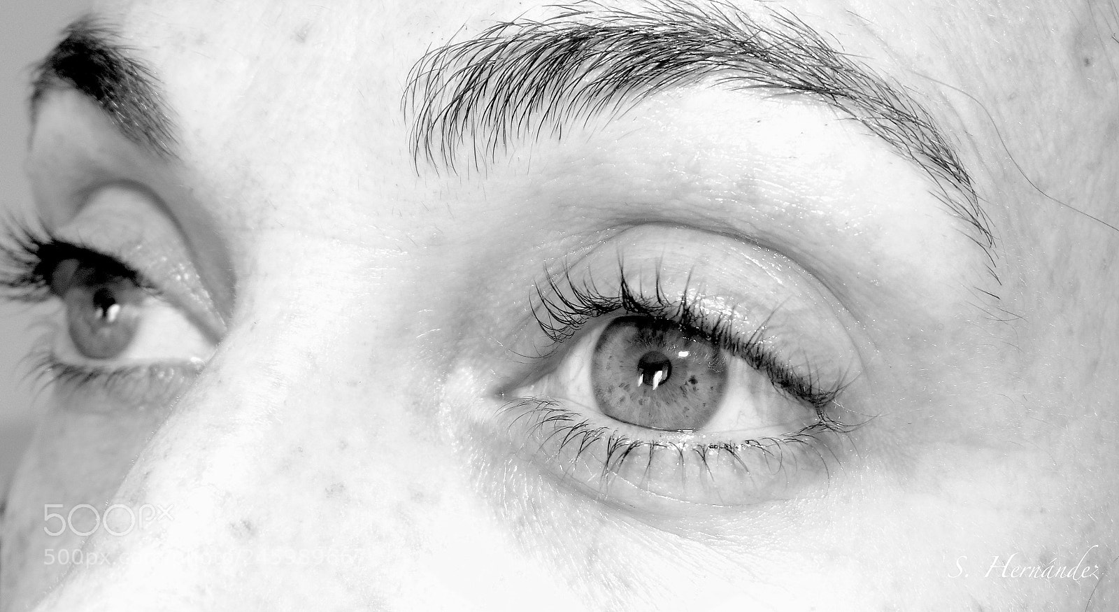 Sony Cyber-shot DSC-H300 sample photo. La luz de mis photography