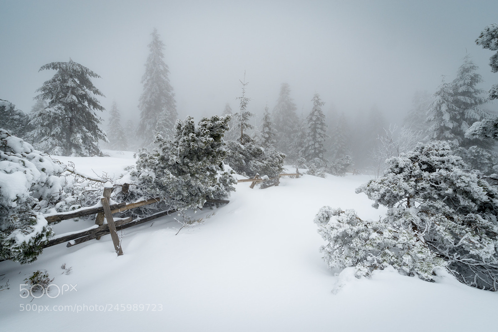 Pentax K-1 sample photo. Snowland photography