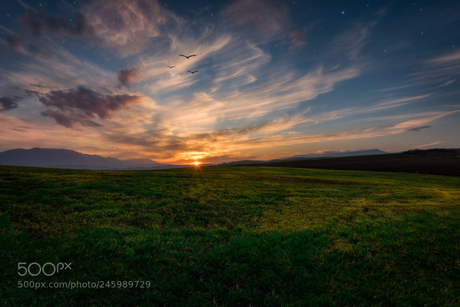 Nikon D810 sample photo. Sunset stars photography
