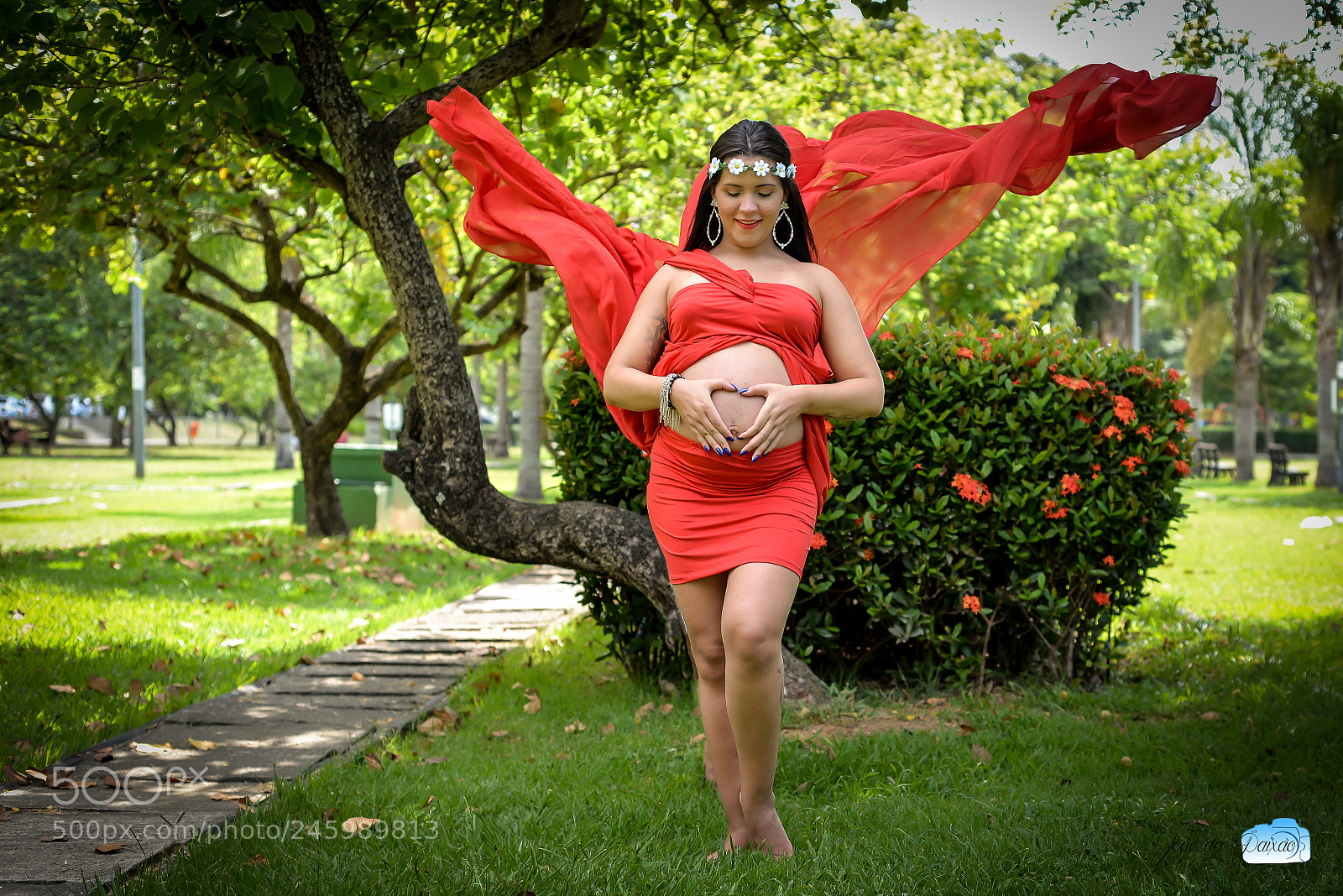 Nikon D610 sample photo. Untitled photography
