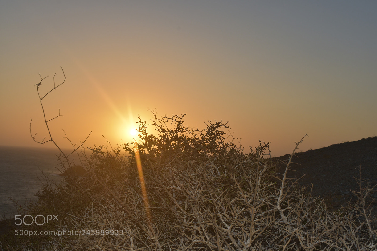 Nikon D3400 sample photo. Atardecer. photography