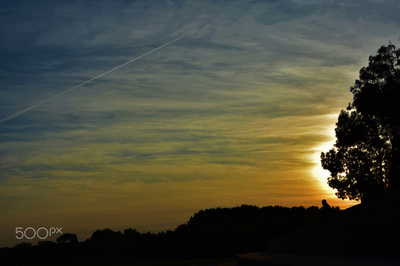 Nikon D3400 sample photo. Aurelia photography