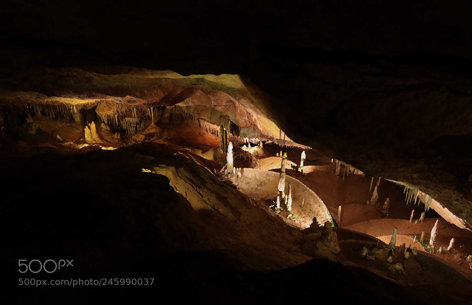Canon EOS 7D Mark II sample photo. Untitled photography