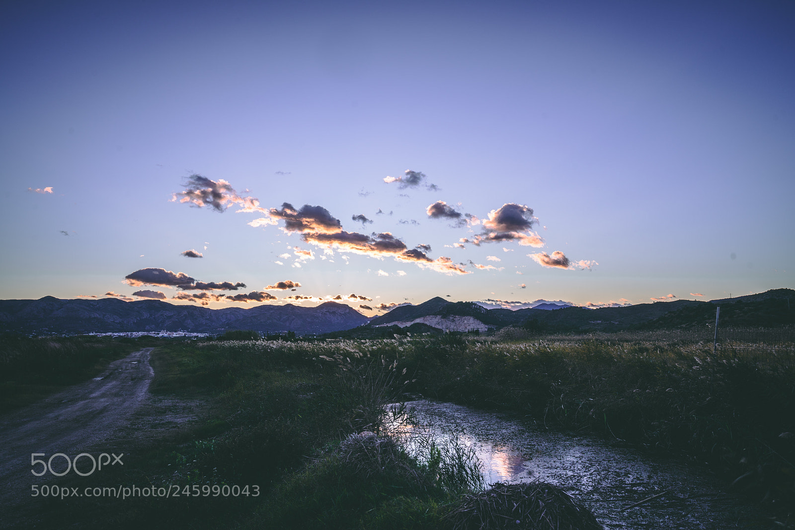 Sony a7 II sample photo. Dsc photography