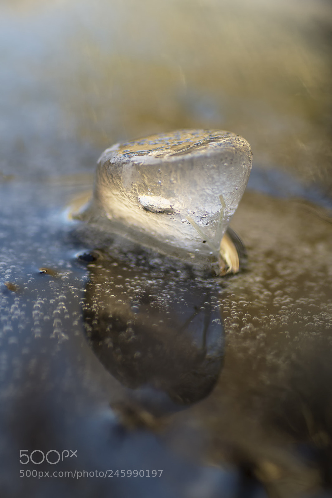 Sony SLT-A58 sample photo. Ice art photography