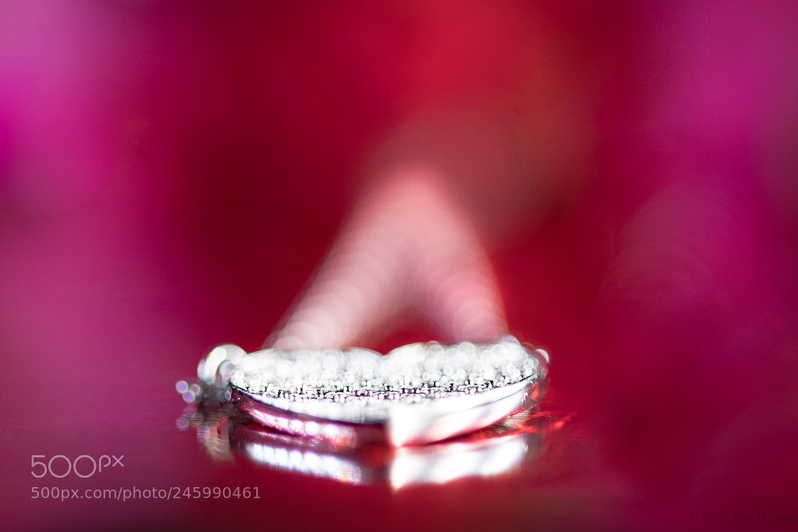 Nikon D500 sample photo. Love is! photography