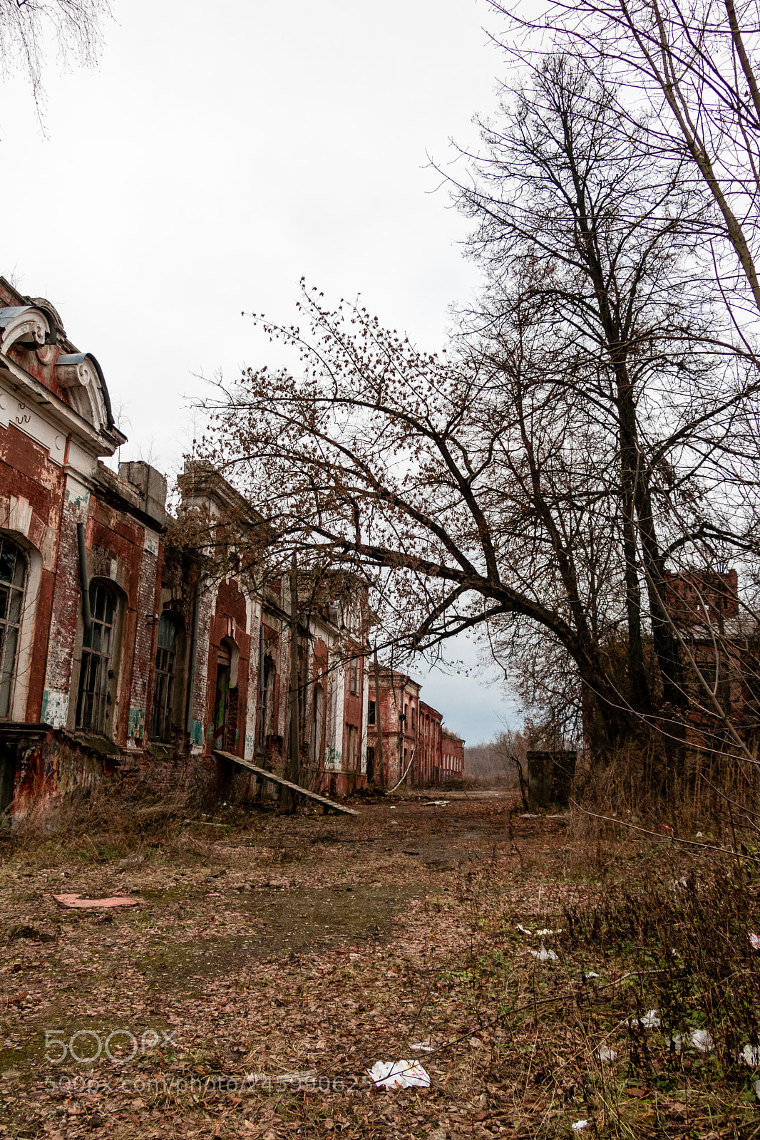 Canon EOS 760D (EOS Rebel T6s / EOS 8000D) sample photo. An abandoned factory in photography