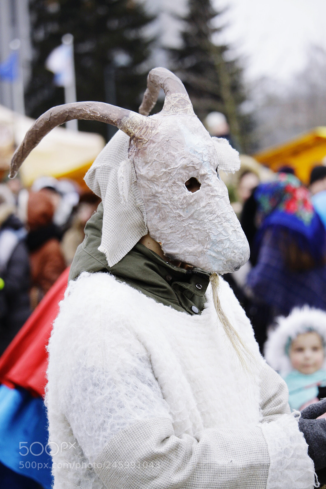 Canon EOS 500D (EOS Rebel T1i / EOS Kiss X3) sample photo. Goat photography