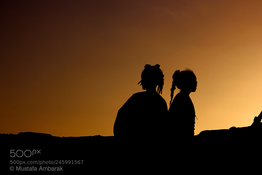 Canon EOS 550D (EOS Rebel T2i / EOS Kiss X4) sample photo. Silhouette photography