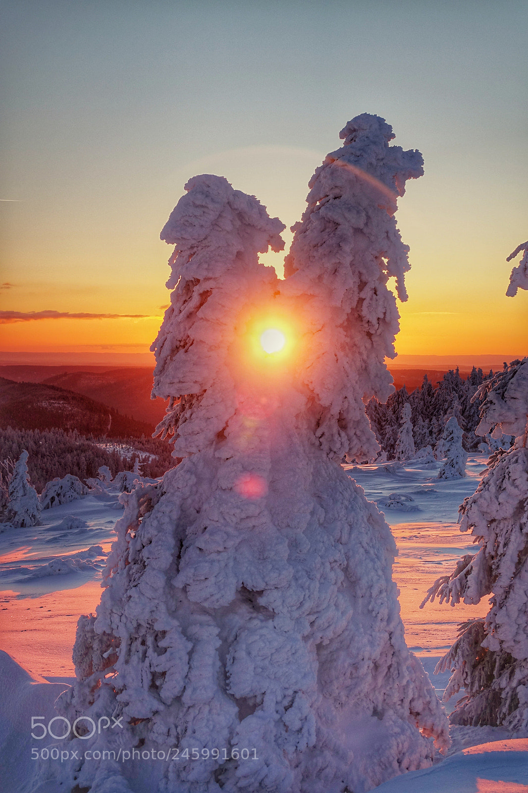 Sony Cyber-shot DSC-RX10 III sample photo. Wintersunrise photography