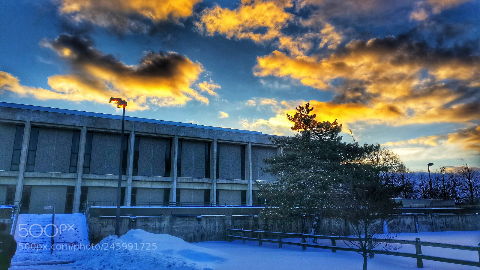 OnePlus A3000 sample photo. Tyler hall photography