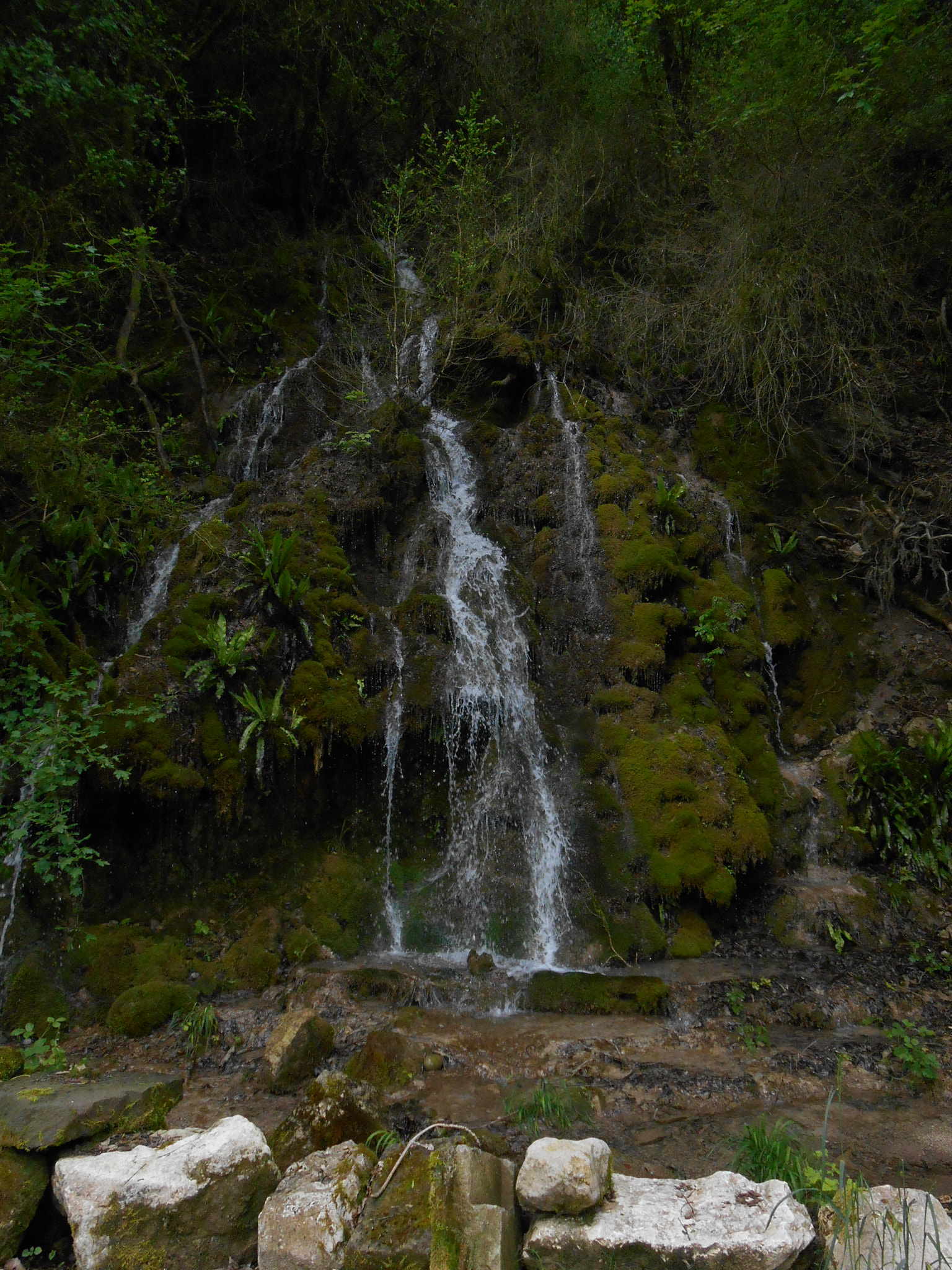 Nikon COOLPIX S4400 sample photo. Waterfall deep in forest photography