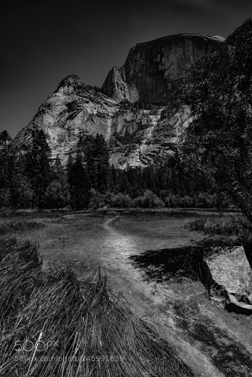 Sony a7R II sample photo. Yosemite high noon bw 6 photography