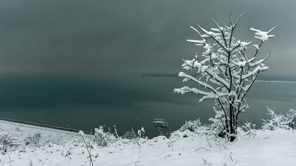 Winter at Ogosta Reservoir by Milen Mladenov on 500px.com