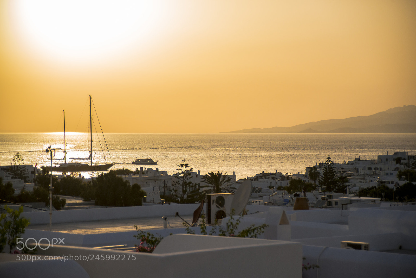 Nikon D800 sample photo. Sailing through the sunset photography