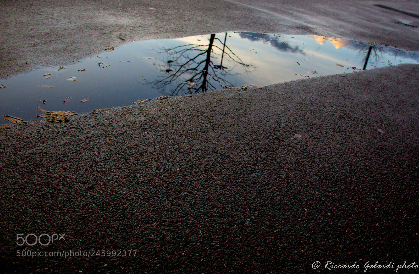 Canon EOS 60D sample photo. 45.jpg photography