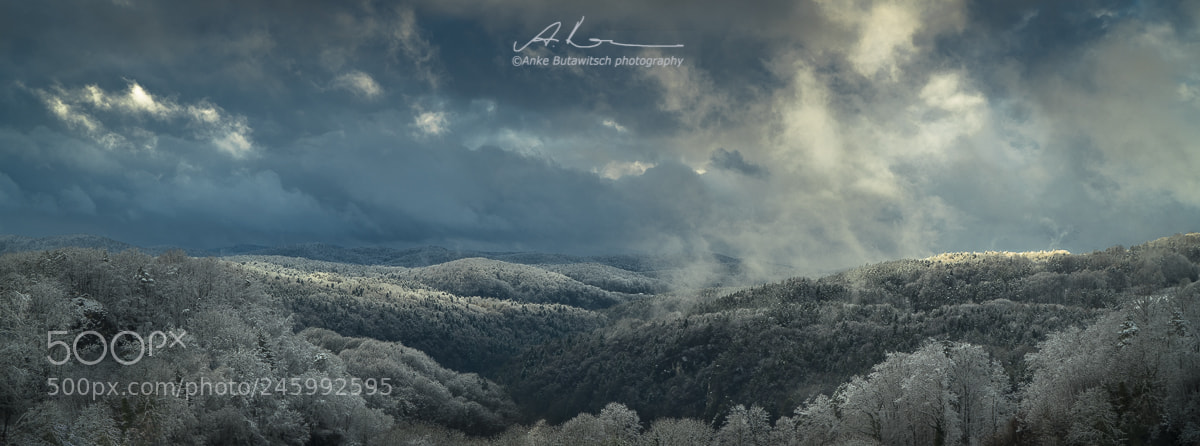 Sony a7R II sample photo. Touch of winter photography