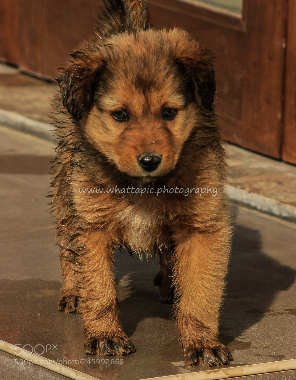Canon EOS 600D (Rebel EOS T3i / EOS Kiss X5) sample photo. Raise one today ! photography