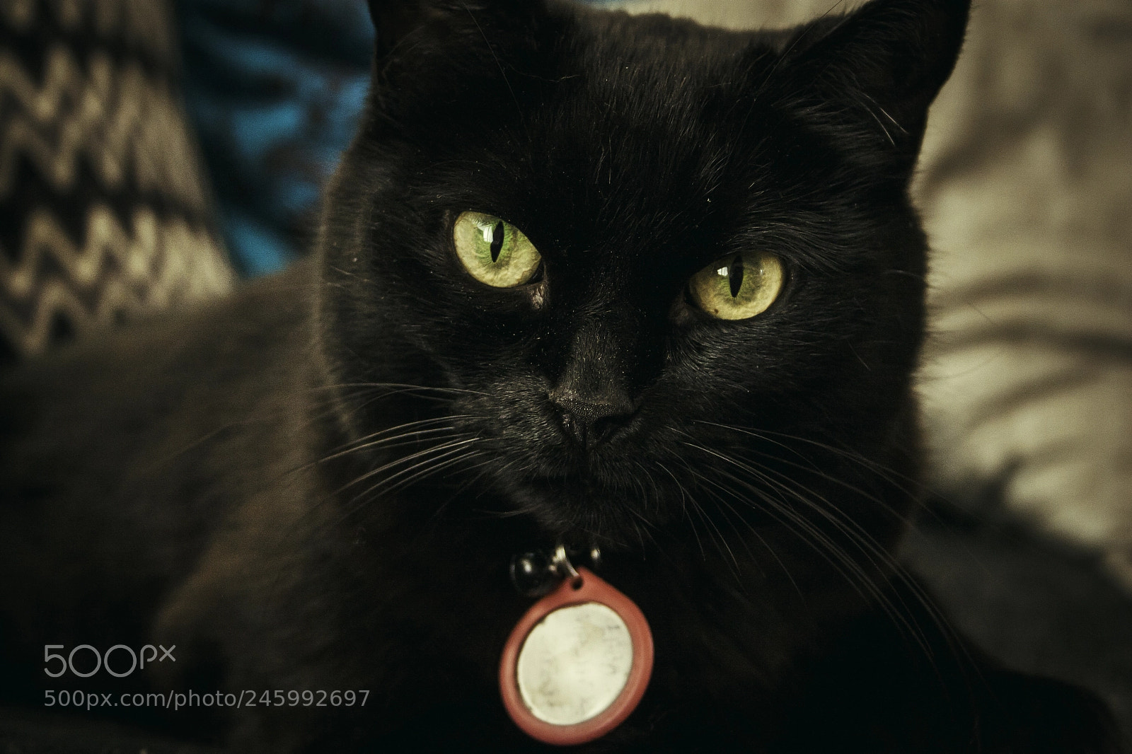 Canon EOS 20D sample photo. Ebba photography