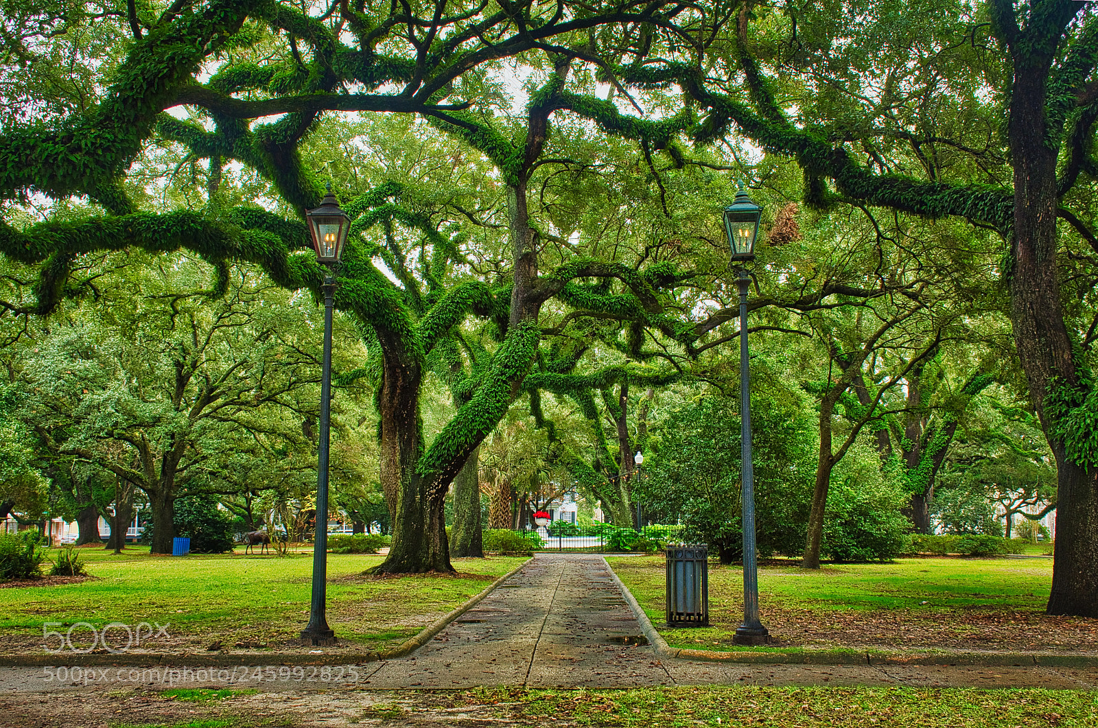 Nikon D7200 sample photo. Washington square, mobile, al photography