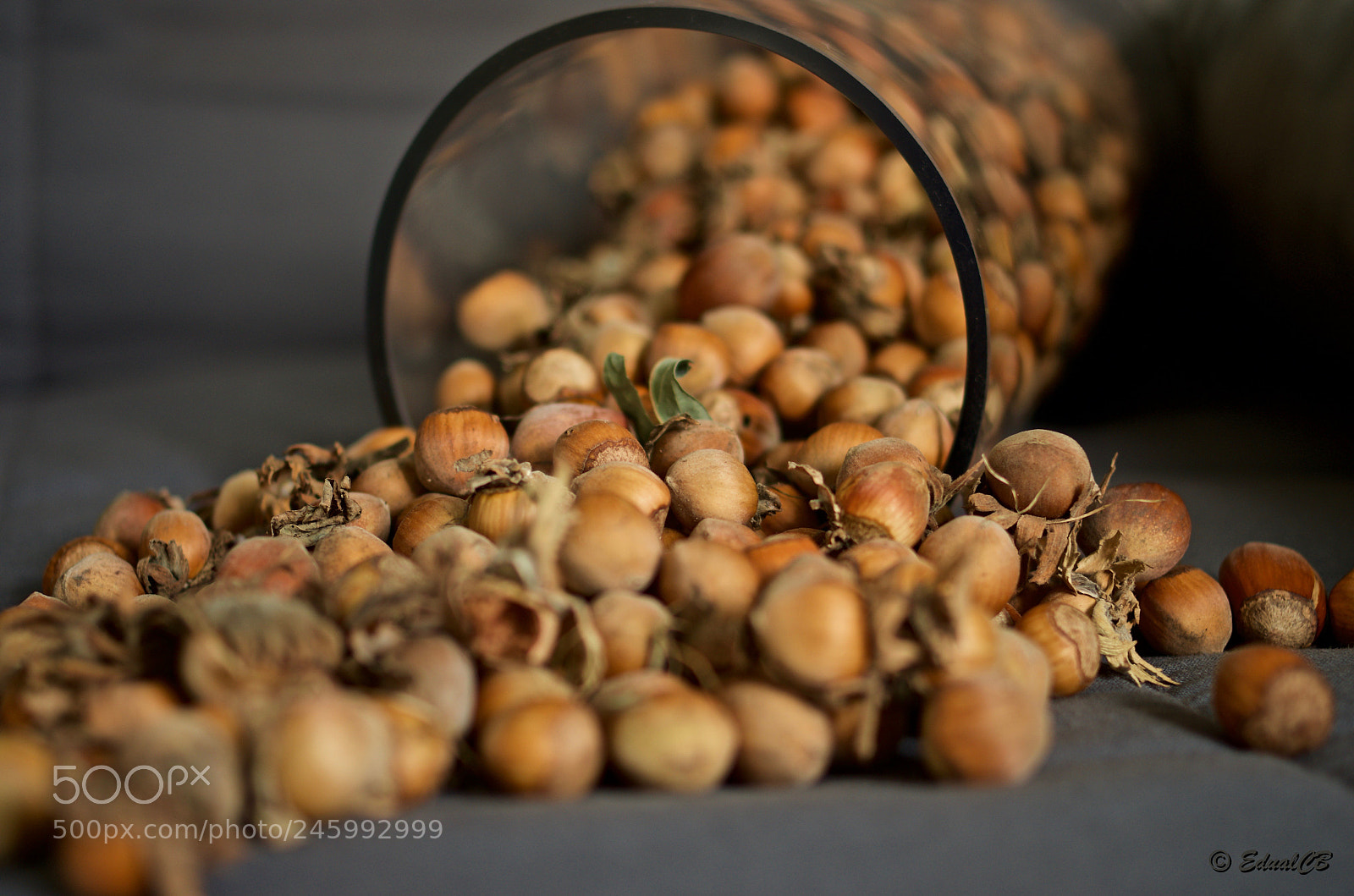 Pentax K-5 sample photo. Noisettes photography
