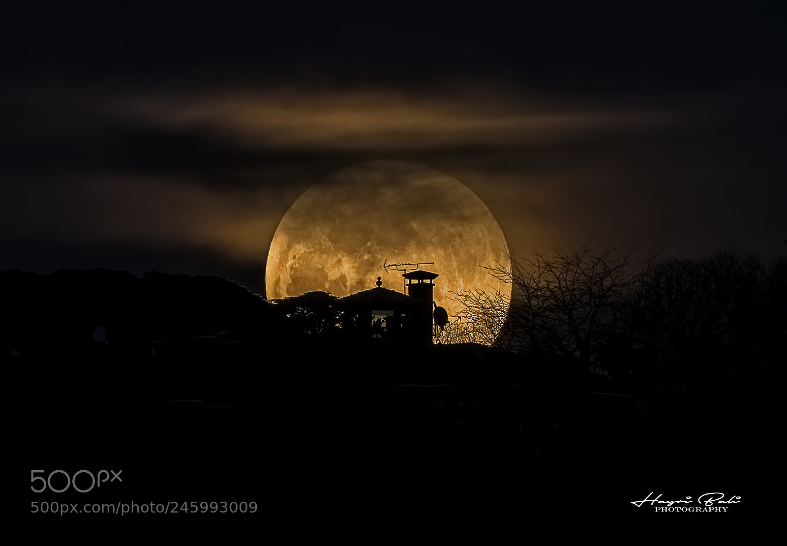 Sony a7R II sample photo. Dsc photography