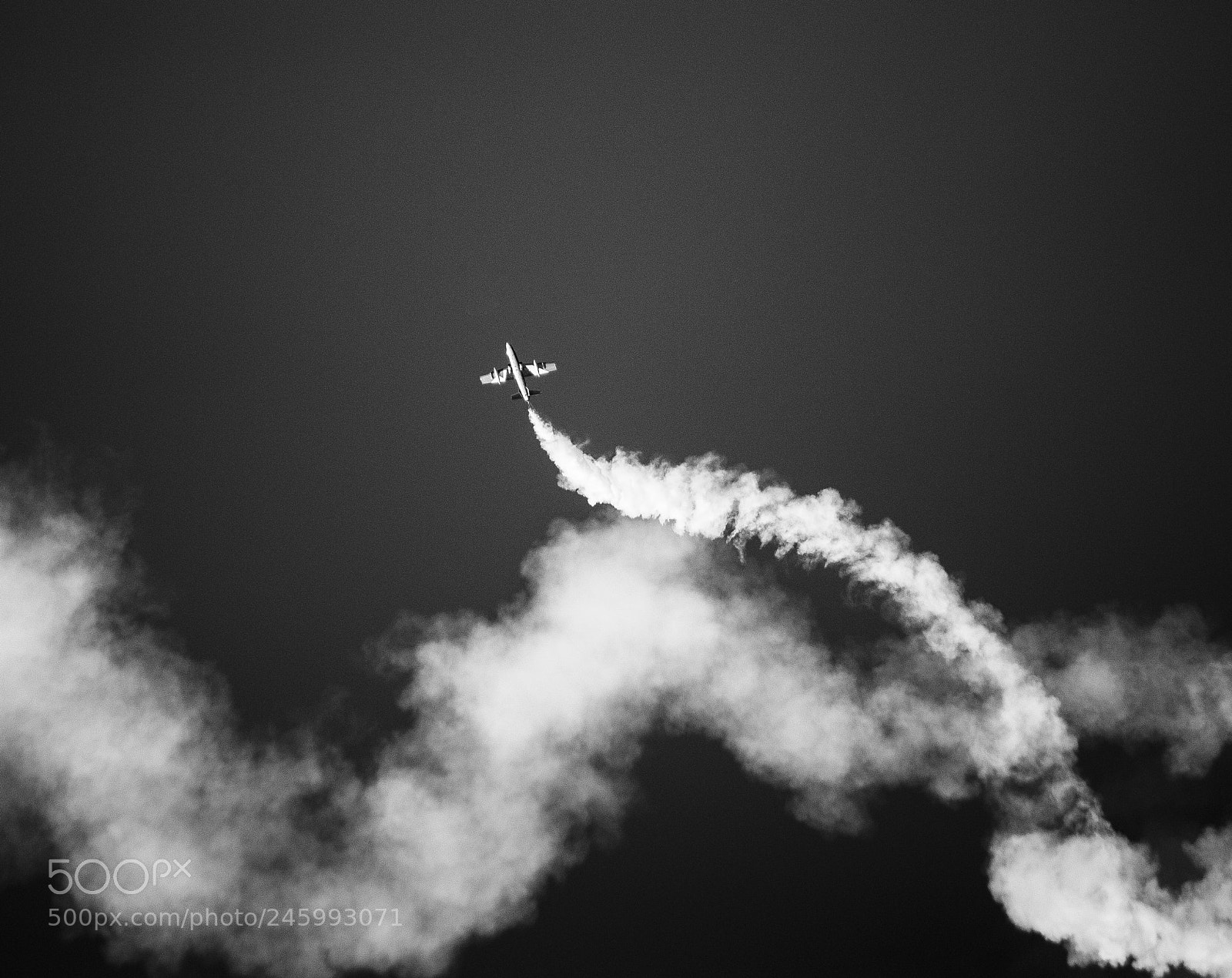 Canon EOS-1D X sample photo. Saudi hawks photography