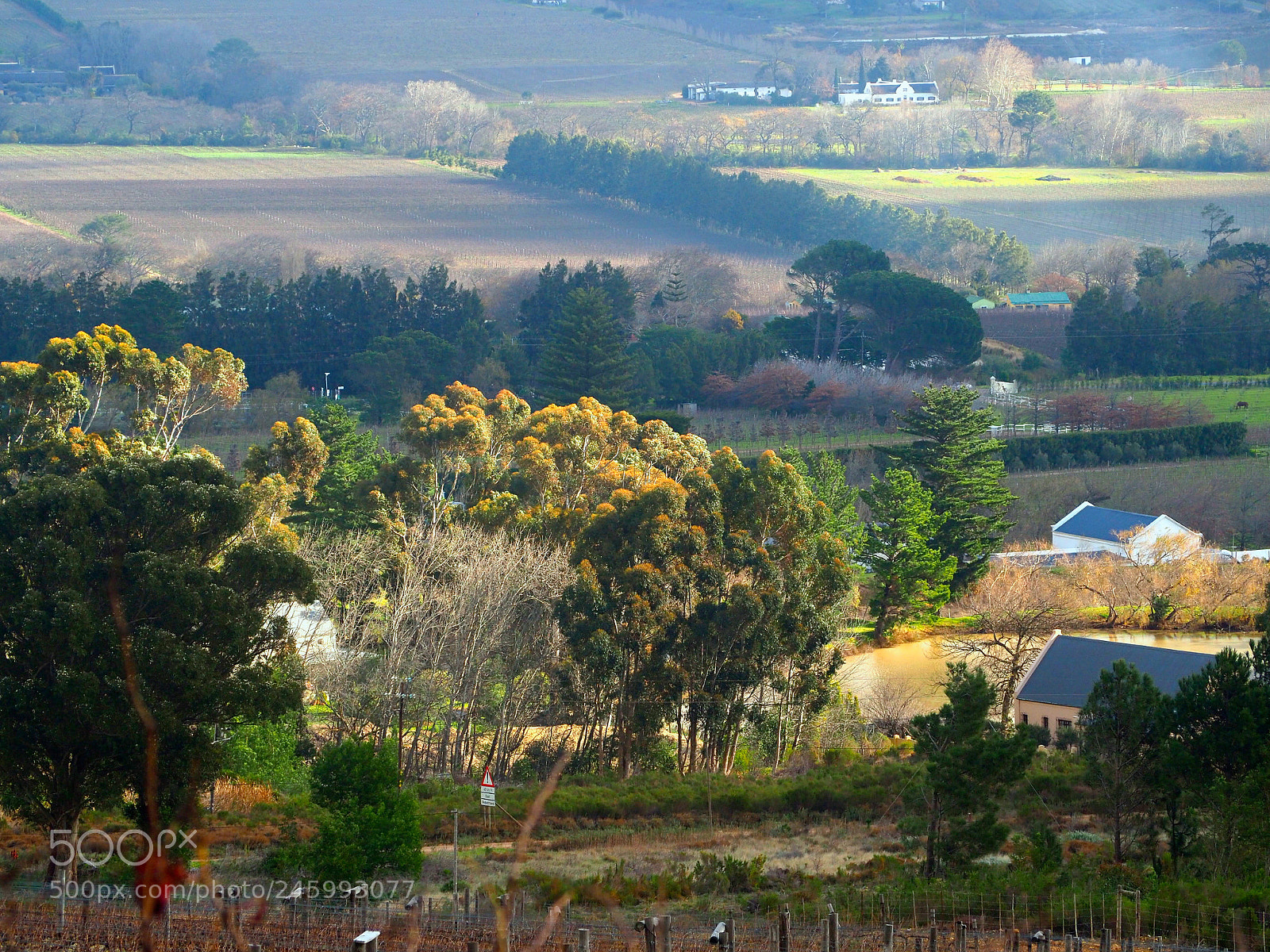 Olympus OM-D E-M5 II sample photo. View from le petite photography