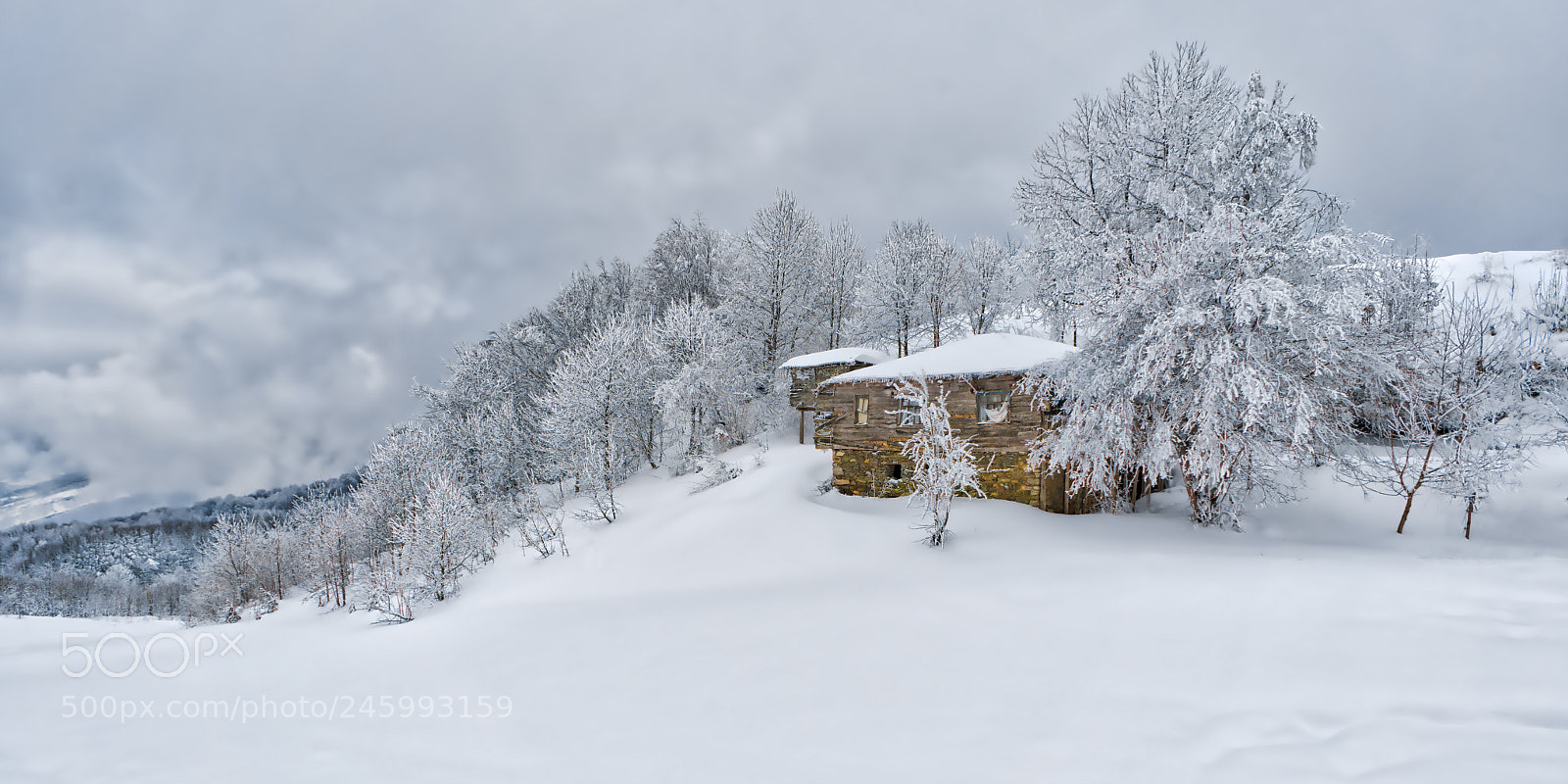 Sony a7R II sample photo. Winter lanscape photography