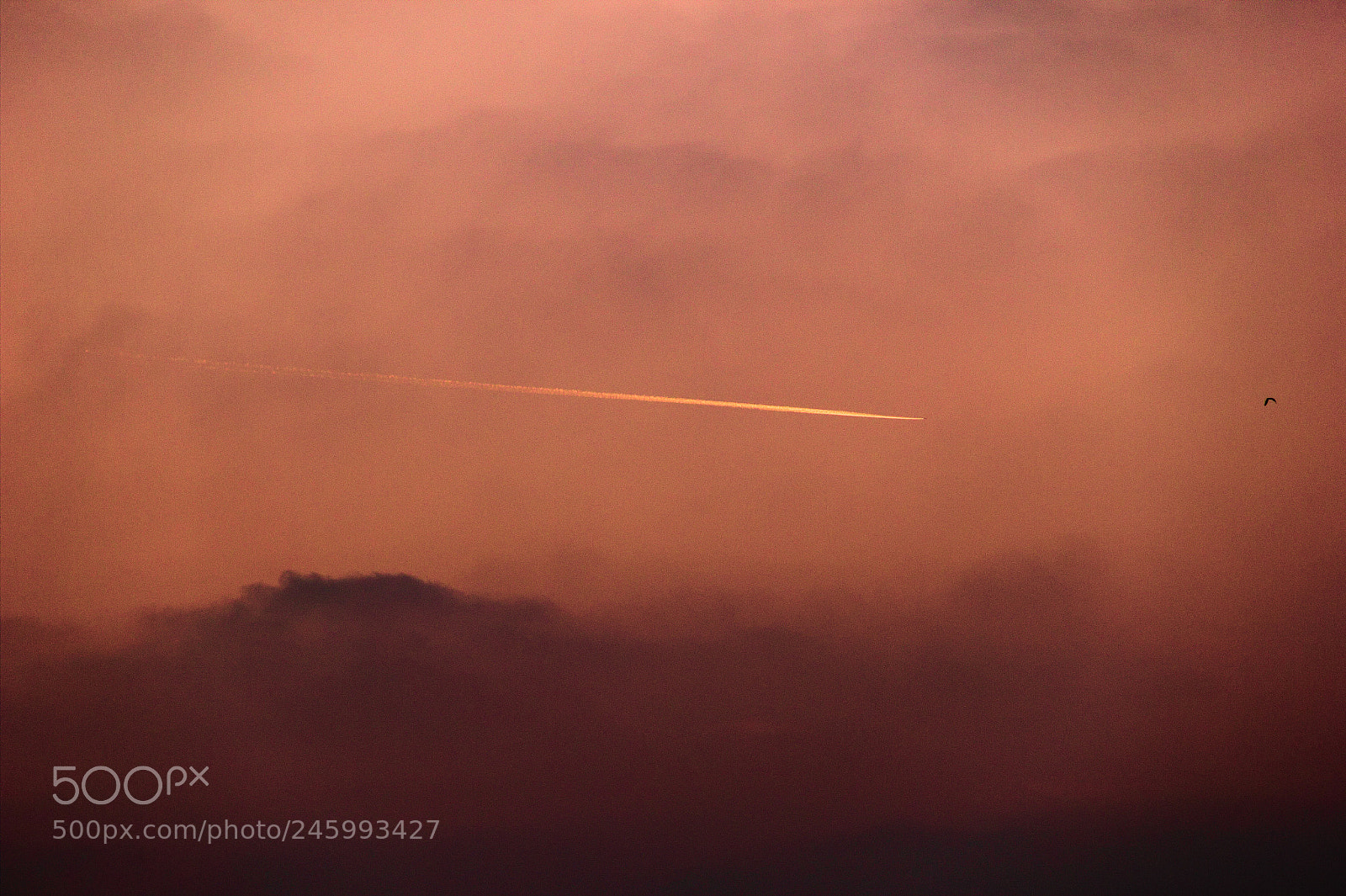 Canon EF-S 18-135mm F3.5-5.6 IS sample photo. Saw this yellow streak photography