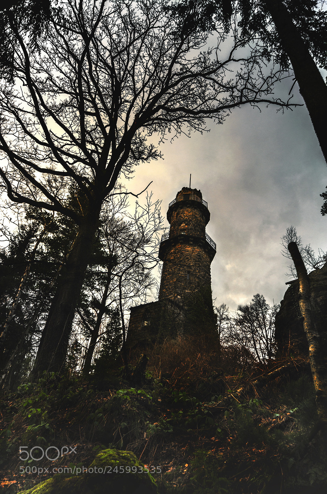 Pentax K-5 sample photo. The tower 2 photography
