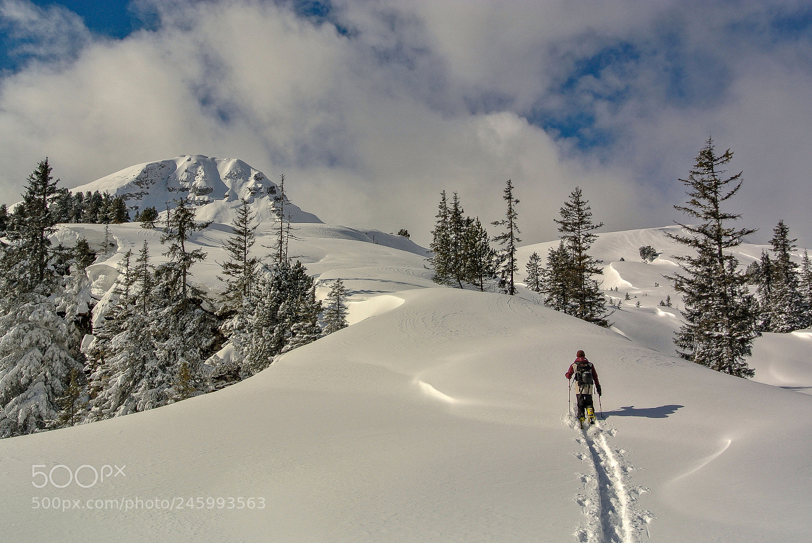 Nikon 1 J1 sample photo. Ascent to gemmenalphorn photography