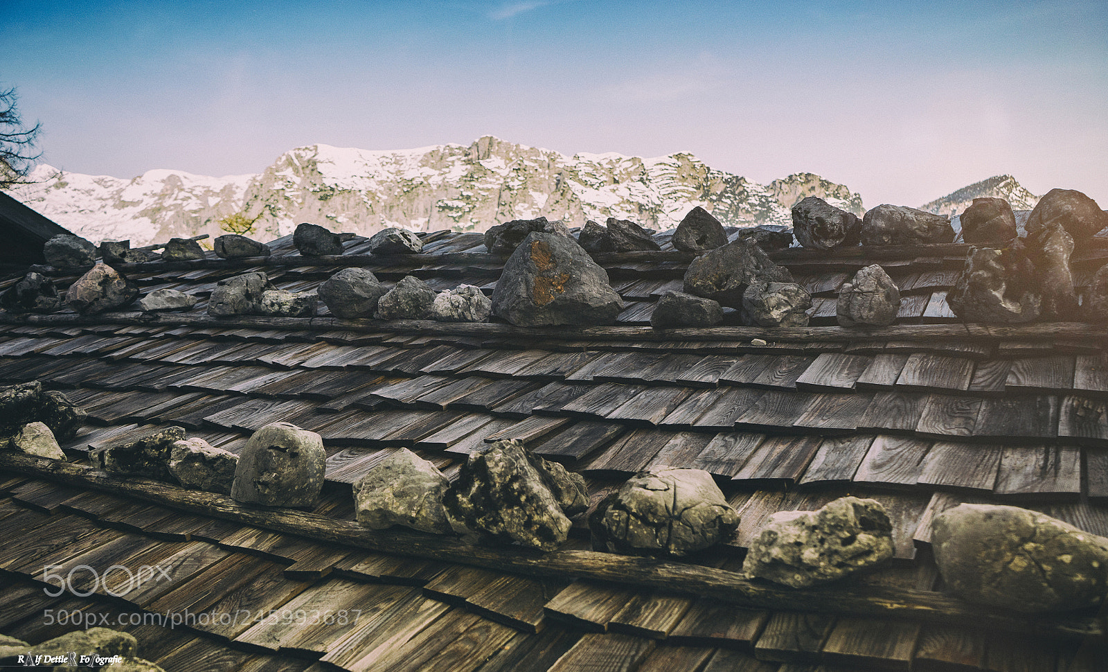 Sony a7 II sample photo. Berchtesgadener wald photography