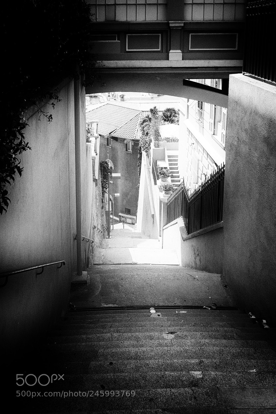 Nikon D610 sample photo. Descent photography