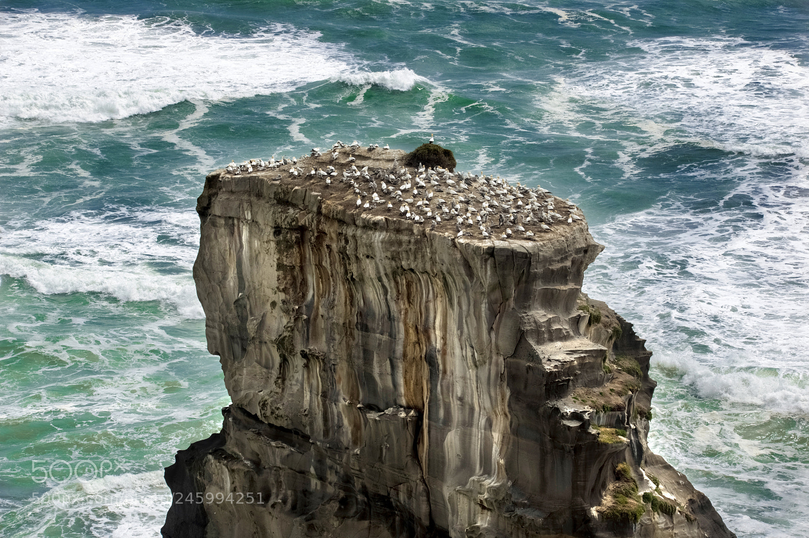 Pentax K-3 II sample photo. Top of the world photography