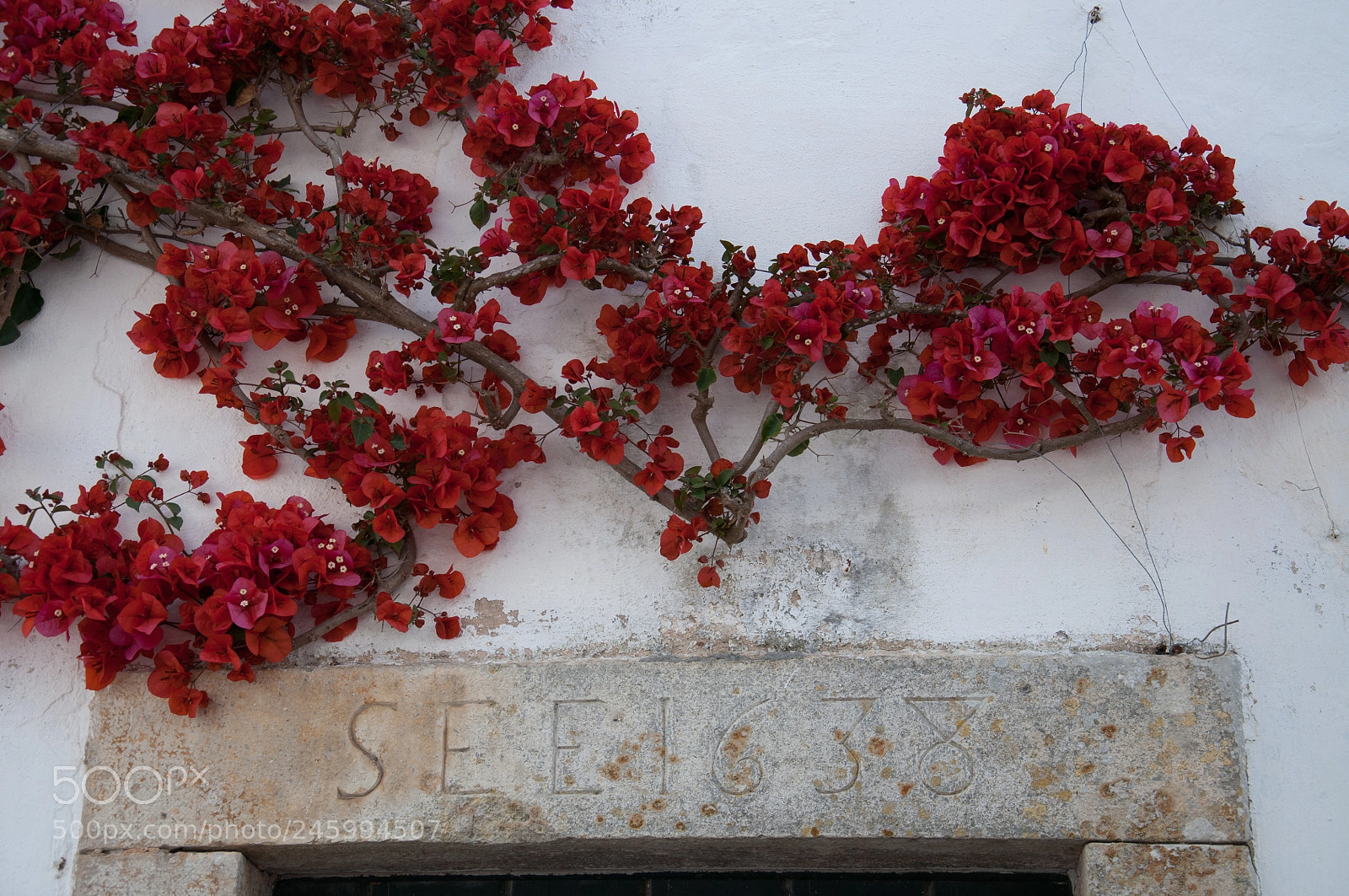 Nikon D5000 sample photo. Enter with awe photography